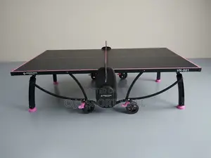 Standard Table Tennis Board With Double Accessories