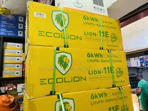 6kwh 51.2v Ecolion Lithium Battery