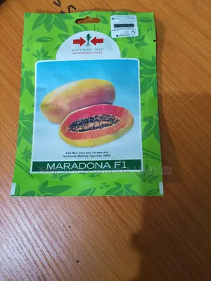 Maradona F1