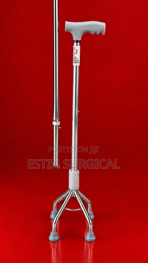 Estin Walking Stick 4 Legs