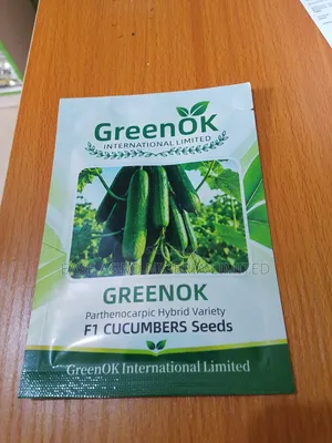 Green Ok F1 Cucumber