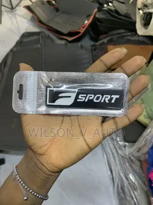 Premium 3D Lexus F-Sport Custom Bumper Fender Emblem
