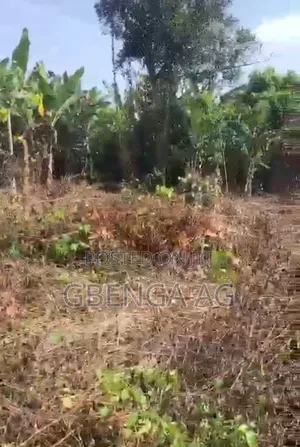 4 Plots of Land for Sale at Ibese Ilaro Ogun State