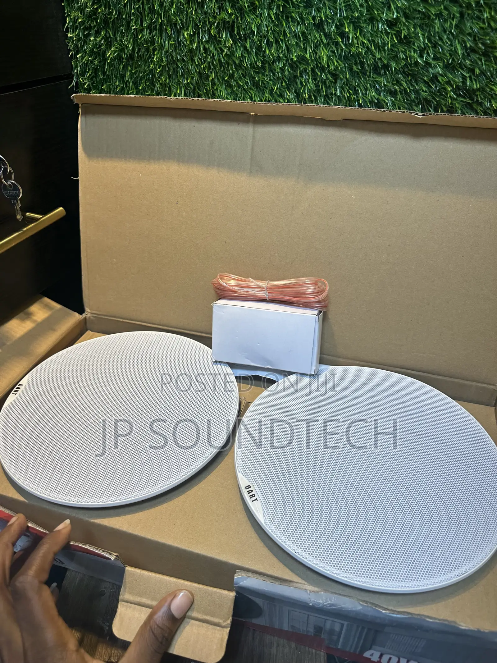 2 in 1 Bluetooth Ceiling Speaker
