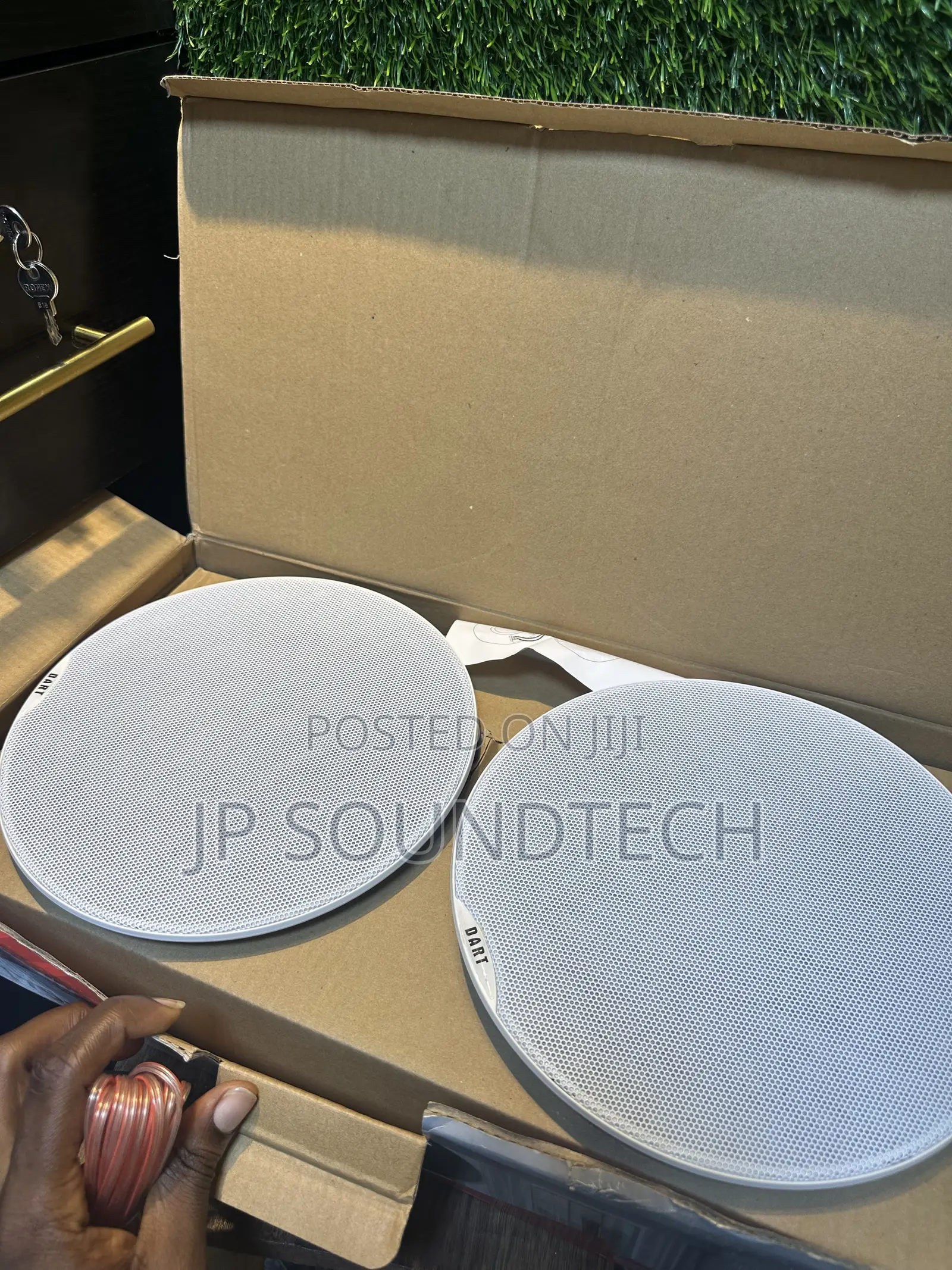 2 in 1 Bluetooth Ceiling Speaker