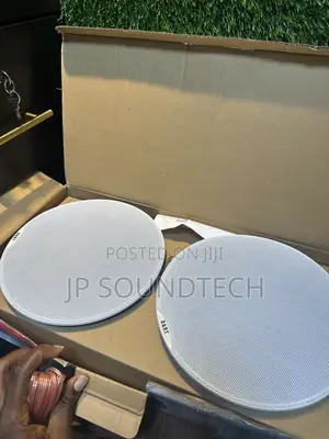 2 in 1 Bluetooth Ceiling Speaker