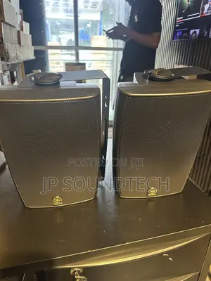 Wall Speaker Mount
