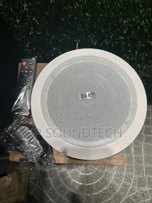 Frame 40watts Single Bluetooth Ceiling Speaker With Remote