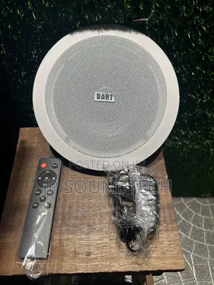 Frame 40watts Single Bluetooth Ceiling Speaker With Remote