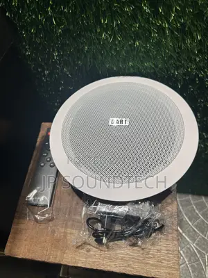 30watts Frame Single Bluetooth Ceiling Speaker With Remote Control