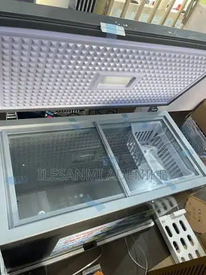 Snowsea Freezer