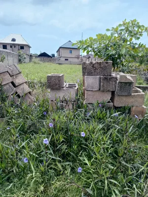 Half Plot of Land for Sale