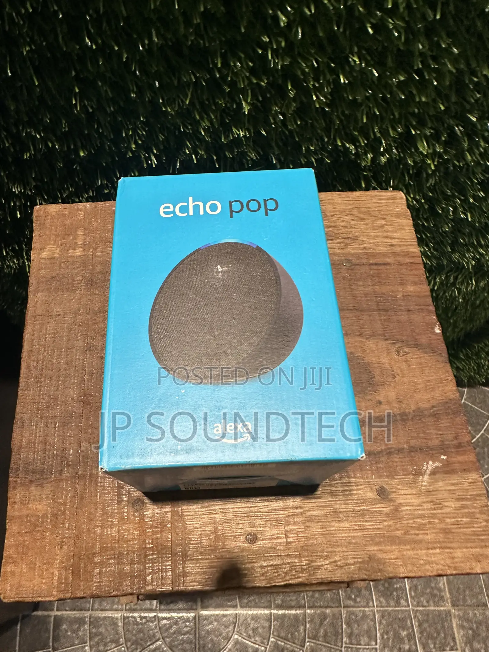 Alexa Echo Pop