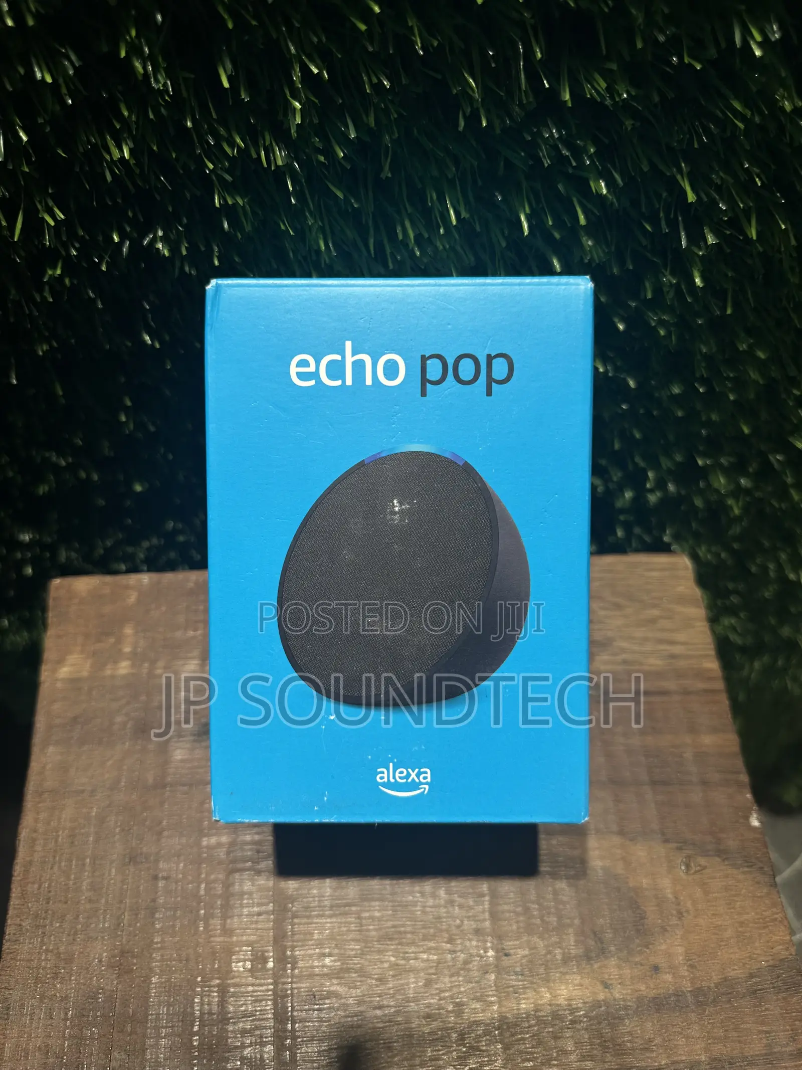 Alexa Echo Pop