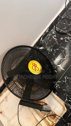 Wall Electric Fan