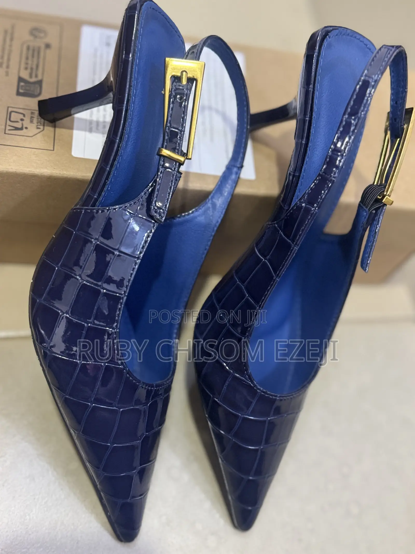 Blue Heel Shoe