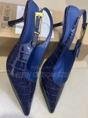 Blue Heel Shoe