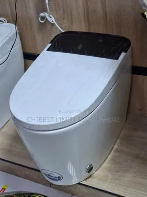Smart Toilet