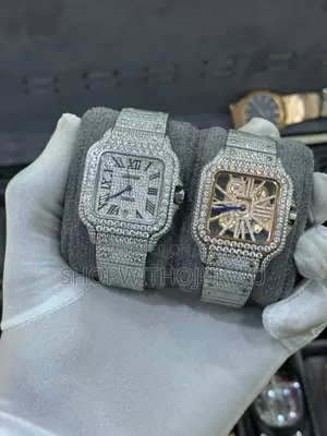 Cartier Ice Watch