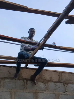 Professional Electrician