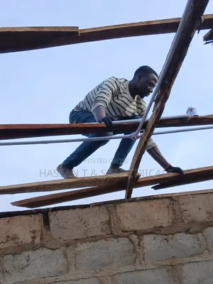 Professional Electrician