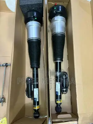 Mercedes Benz S-Class W221 Rear Air Suspension Shock a Airma