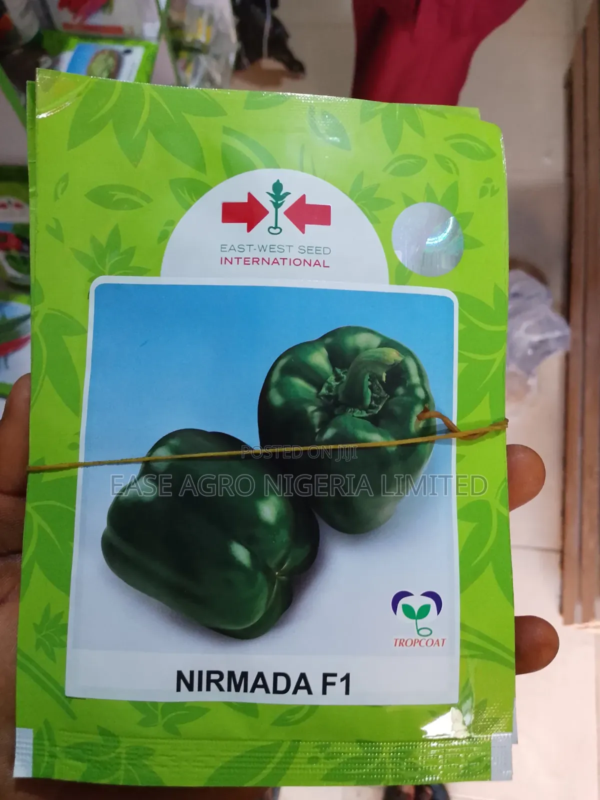 Nirmada F1