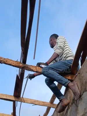Professional Electrician