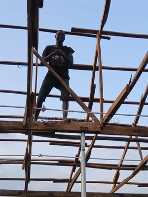 Professional Electrician