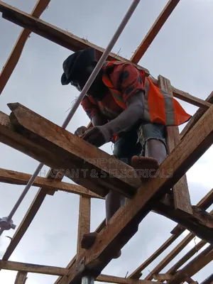 Professional Electrician