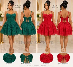 Spaghetti Strap Corset Mini Dress