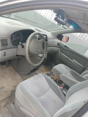 Toyota Sienna 2009 Gray