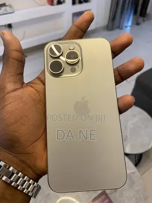 Apple iPhone 15 Pro Max 256 GB Gray