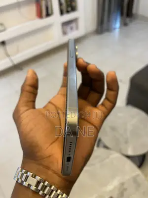 Apple iPhone 15 Pro Max 256 GB Gray