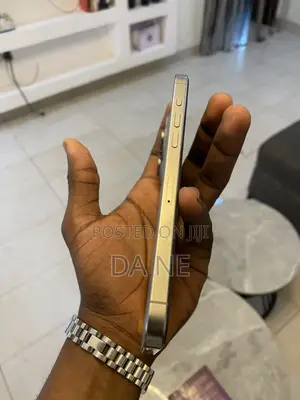 Apple iPhone 15 Pro Max 256 GB Gray