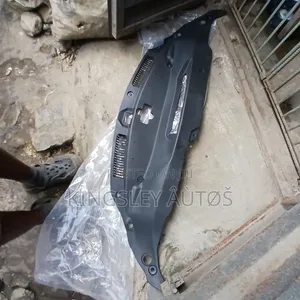 Radaitor Plastic I S 250 2015