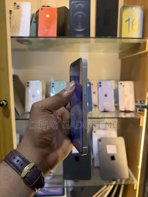 Apple iPhone 12 256 GB Blue