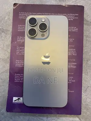Apple iPhone 15 Pro Max 256 GB Gray