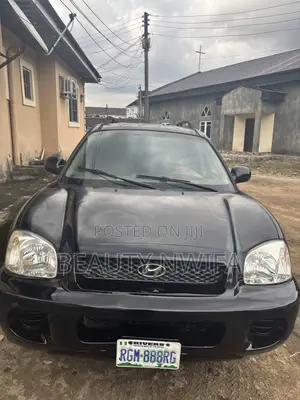 Hyundai Santa Fe 2004 Black