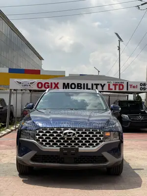 Hyundai Santa Fe 2023 Blue