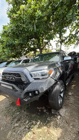 Toyota Tacoma 2018 Gray