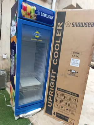 SNOWSEA LC 300L Beverage Chiller for Business Establishment