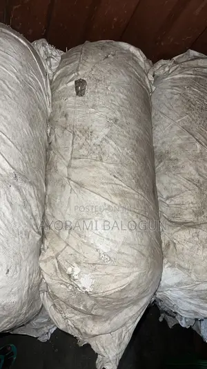 CNG Cylinders