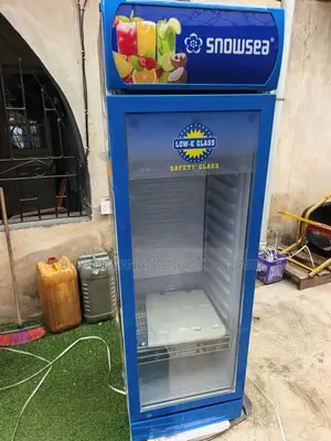 Snowsea LC 300L Commercial Cooling System for Product Storage