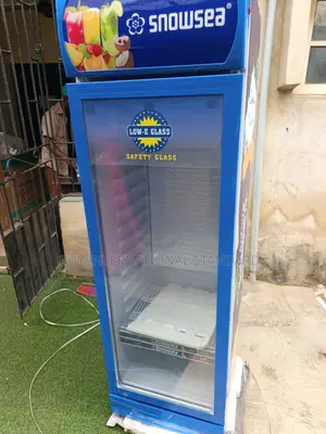 Snowsea LC 300L Commercial Cooling System for Product Storage