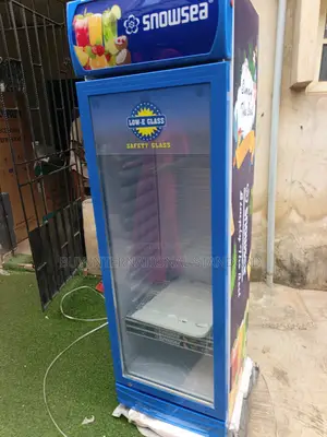 Snowsea LC 300L Cooling Appliance for Shopkeepers and Retailers