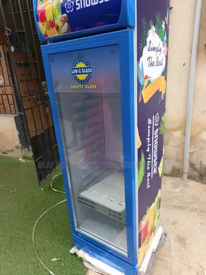 Snowsea 300L Refrigerated Appliance for Beverage Businesses