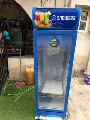 SNOWSEA LC 300L Chiller for Store Refrigeration and Cooling
