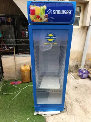 SNOWSEA LC 300L Chiller for Store Refrigeration and Cooling