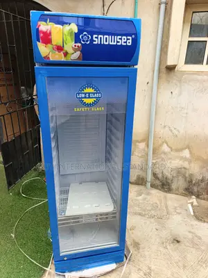 Snowsea LC 300L Business Refrigeration Equipment for Retailers